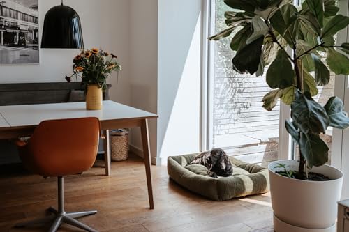 HUNTER Hundesofa KUMARA, Farbe: Khaki, kuschelig weicher Teddyplüsch, Rutschhemmende Unterseite, wendbares Innenkissen, trendig, großzügige Füllung, Bezug maschinenwaschbar, Größe: 80 x 60 cm