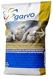 Garvo