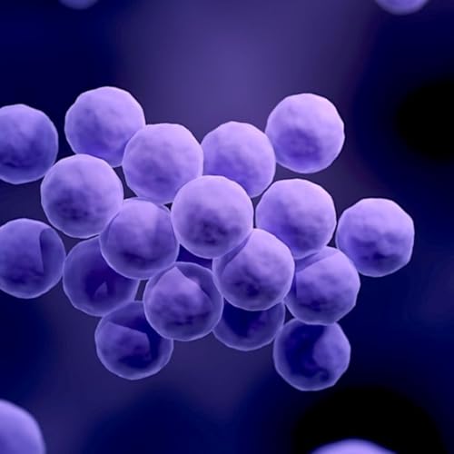 Il Futuro &egrave; Microscopico - Ep.2