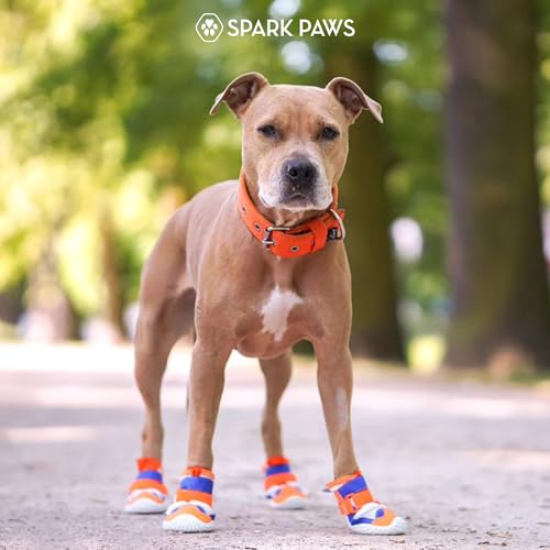 Image of Spark Paws Dog Shoes for Large Small Medium Dogs Breathable Dog Booties for Hiking, Summer Hot Pavement Paw Protectors for Non Slip Rubber Dog Boots for Outdoor (Orange Blue, Size 1)