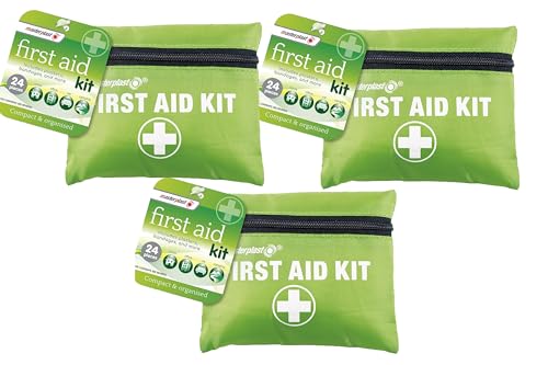 Masterplast Compact First Aid Kit for Home Car Holiday and Workplace - Mini, Small, and Lightweight First Aid Kit - Essential Backpacking First Aid Travel Kit, 3 Pack + Cheeroo Magnet