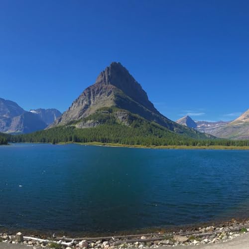 Couverture de Only My Opinion