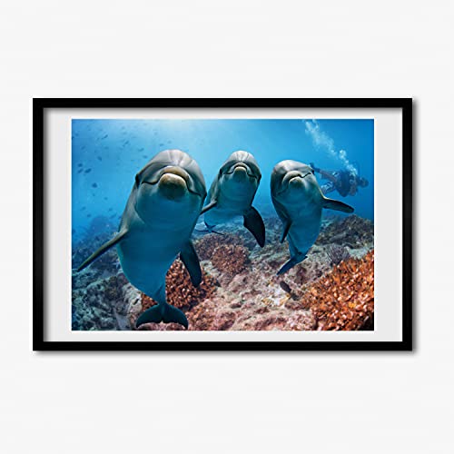 Tableau moderne dauphins pour salon : cadre en bois décoratif 60x40 cm