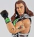 WWE DX Shawn Michaels Elite Ringside Exclusive Mattel Toy Wrestling Action Figure