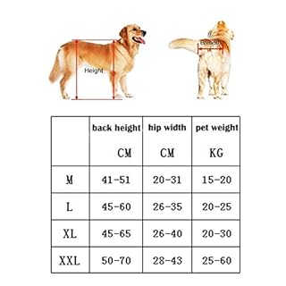 KHUY Carrellino per Cani Anziani Carrello Cane Disabili Grandi Taglia Media Pet Walkin Ruote Piedini Posteriori di Riabilitazione, Cane Cablaggi Auto 15-60kg Cani (Size : Large)