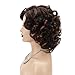 SEVENCOLORS Wigs for Black Women Afro Short Curly Bob Wigs Synthetic Hair African American Wig Natural Looking Glueless Big Curly Wigs(Brown Mixed Blonde)
