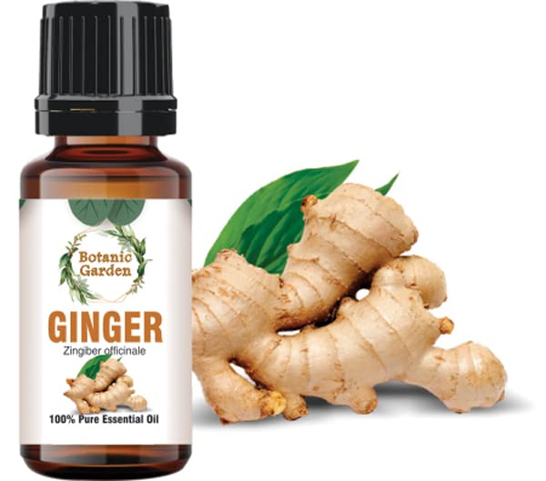 Botanic Garden Ginger | Zingiber Officinale | Oil Cold Pressed & Unrefined Oil For Hair And Skin Care (10ml)