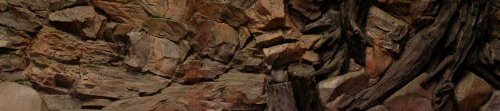 Tylna ścianka 3D do akwarium 200 x 50 cm, root, 2-częściowy