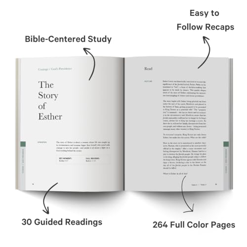 The Good and Beautiful Bible Study: Experiencing Stories From the Bible and What It Means for Our Lives Today - Image 3