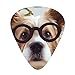 Funny Dog Glasses Guitar Picks 12 Pack Bass Picks with Organizer Box Guitar Plectrum Includes Thin Medium Heavy Guitar Picks Ukulele Picks for Bass Acoustic Electric Guitars