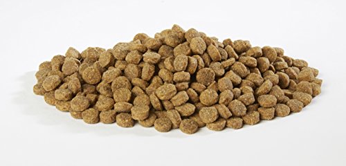 harringtons 10kg puppy food