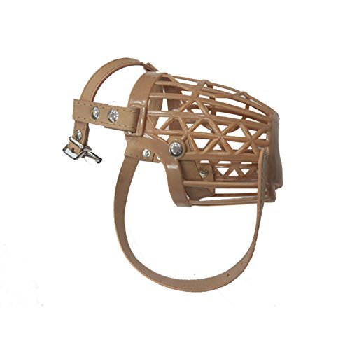 DCS Dog Mouth Cap No5 Amazon.in Pet Supplies