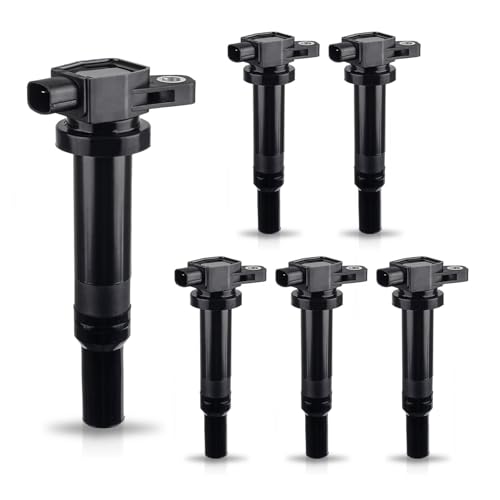 ENA Set of 6 Ignition Coil Pack V6 Compatible with Kia Hyundai 2007 2008 2009 Santa Fe, 2007-2011 Rondo, 2006-2010 Optima, 2007-2010 Magentis 2.4L 2.7L Coils for UF558 C1567 273013E40