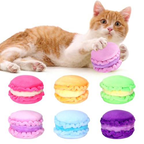 Eccliy }J Lbgjbv L̂ p C^NeBu L ނ qL  pi LeBDւ̃Mtg ދȊɘa ^̂߂̃C^NeBuȂʂ 6F