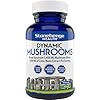 Stonehenge Dynamic Health Mushrooms 1,400 mg ...