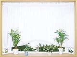 cloth shop 布や 出窓用 レースカーテン 日中 外から見えにくい UVカット 遮熱 断熱 保温 おしゃれ 洗える カーテンフック 付 [ 幅300cm x 丈90cm（1枚入） スクエア柄 アーチ]