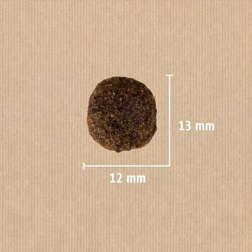 Christopherus Grainfree, Alleinfuttermittel für den ausgewachsenen Hund mit normaler Aktivität, Trockenfutter, Ente + Kartoffel, Krokettengröße ca. 1 cm, Ausgewachsener Hund, 12 kg