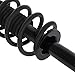 ANPART Struts And Shock Rear Pair Compatible with 2009 2010 for Dodge Journey Complete Struts Assembly 1345734