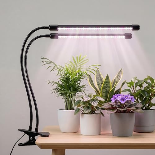 Bloom Lume LED Grow Lights for Indoor Plants