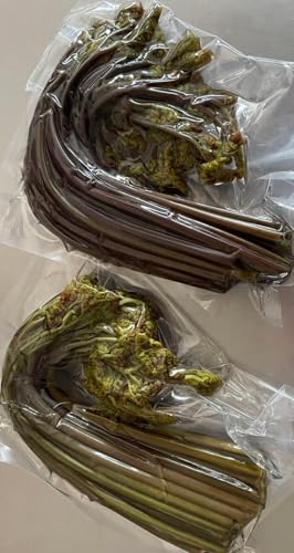 岐阜県・長野県産 生わらび 酢漬け アク抜き済み 約400g(固形約300g)×25P真空 冷蔵 業務用