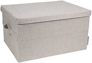 Bigso 1024 Soft Storage Foldable Fiberboard Storage Box with Lid, Large, 9.8 x