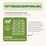 BugBell 800g Hundefutter trocken getreidefrei, Spinat & Hanf & Hanf & Heilkräuter zur Entspannung, verträgliche Insektenproteine, 100% bedarfsdeckend, hypoallergenes & purinarmes Trockenfutter