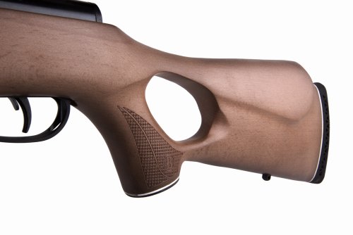 Benjamin Trail NP XL 725 .25-Caliber Nitro Piston Break Barrel Air Rifle BT725WNP