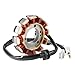 Motorcycle Stator Magneto Generator Coil 125cc Compatible With Automotive Motorcycle Parts LNR125 GT125 Mio 125 125 AVANTIZ 125 SOLARIZ For Part Number 2PH-H1410-10