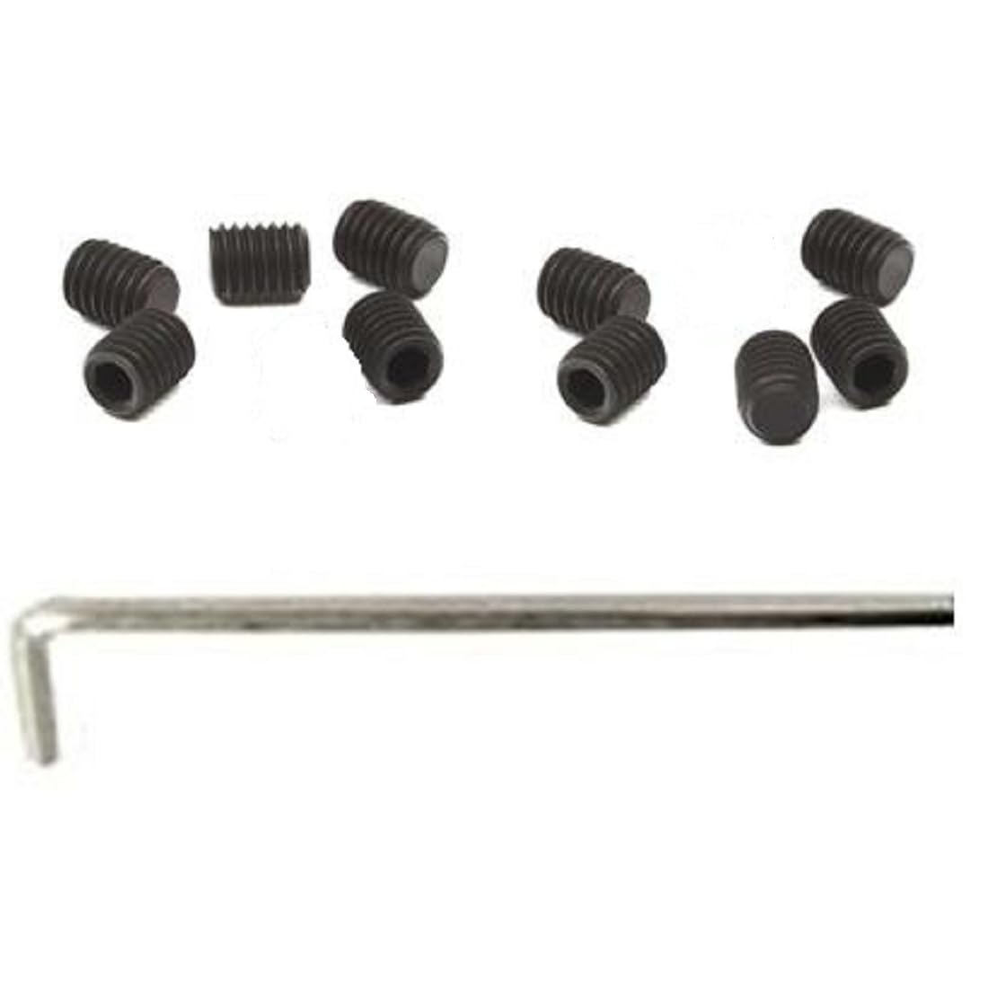 10 pcs Slotted Fine Thread Plug Screws Kit for Gun's Receiver mounts Repair or Replace (Black Oxide Steel, #8-40 x 1/8")