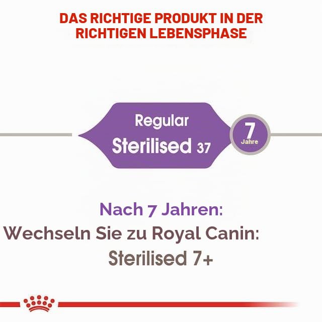 ROYAL CANIN Sterilised 37 | Doppelpack | 2 x 400 g | Trockenfutter für kastrierte Katzen (1 bis 7 Jahre) | Zum Erhalt des idealen Körpergewichts | Mit hohem Proteingehalt