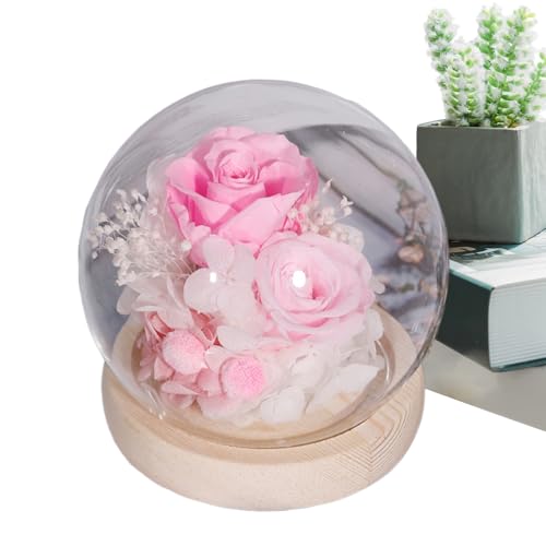 Nevalerra Flores en cúpula, flores reales preservadas, decoraciones románticas, elegantes expositores de cristal para celebraciones, decoración del hogar, vacaciones, para mujeres, mamá, abuela