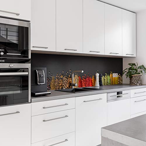 Dedeco Küchenrückwand Motiv: Gewürze V1, 5mm Hartschaum Kunststoffplatte PVC als Spritzschutz Küchenwand Wandschutz wasserfest, inkl. UV-Lack glänzend, alle Untergründe, 280 x 60 cm