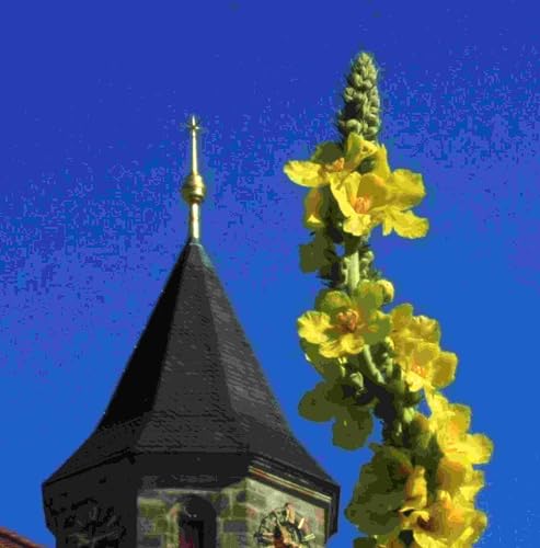 Gottes K&ouml;nigtum in Jeus Christus Mensch geworden und auferstanden