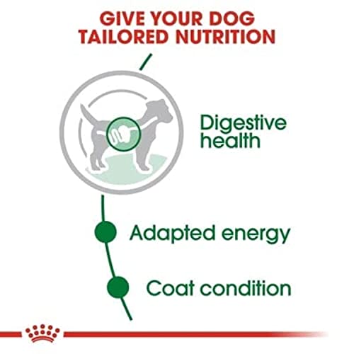 Image of Royal Canin Mini Adult Dog Food, 85 Grams, Supports Weight Management, Strong Bone and Joint Health, Provides Optimal Health Support, Pack of 24 Sachet