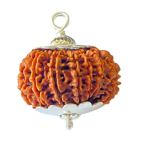 Certified Gems14 Mukhi Rudraksha Original Certified Nepal Pendant 21mm - भगवान शिव और बजरंगबली का आशीर्वाद - 14 Face Rudraksha By Certified Gems