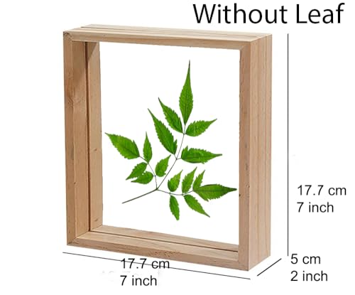 Image of Desi Rang Wooden Frame for wall decor, table top, any plant leaf decoration, picture, photo, DIY, Gift item,home office desk (Square)17.7L x 17.8W Centimeters