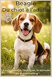 chiot beagle a vendre quebec  Beagle : Guide Complet du Chiot à l’Adulte – Soins, Psychologie Canine, Flair et Activités Olfactives (Mantrailing, Stimulation Mentale, Compagnon de ... chien – Chiot, Flair et Activités olfactives.