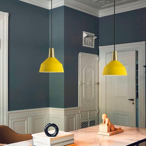 Lampe en fer E27 design ouvert suspension multicolore moderne - 5