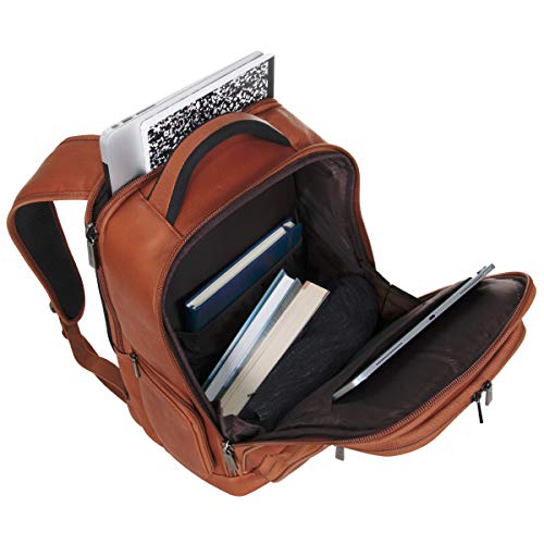 Cole Reaction Leather Laptop Backpack Dev & Gear