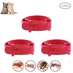 Kylewo Collar de garrapatas para Perros y Gatos Collar de garrapatas Collar de prevención de pulgas y garrapatas, 8 Meses de protección: Ajustable para Mascotas pequeñas y Medianas