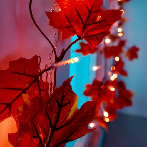 VCOKEN Thanksgiving Decorations Fall Garland with Lights, 24LED Battery Operated Thanksgiving Lights with Timer, Fall Decor for Home, Table, Mantle, Office, Outdoor, Autumn, Halloween, Yellow image 8