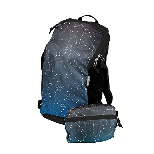 ChicoBag Travel Pack rePETe Recycled Backpack w/Built-In Pouch & Carabiner