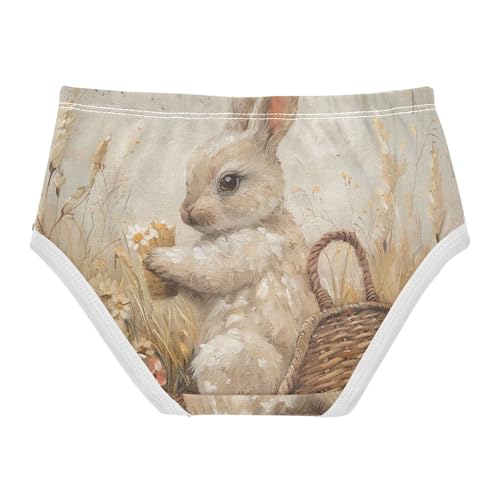 Girls Underwear, Vintage Rabbit Flower Toddler Girl Briefs, Cotton Underwear Girls, 2T–8 Years2