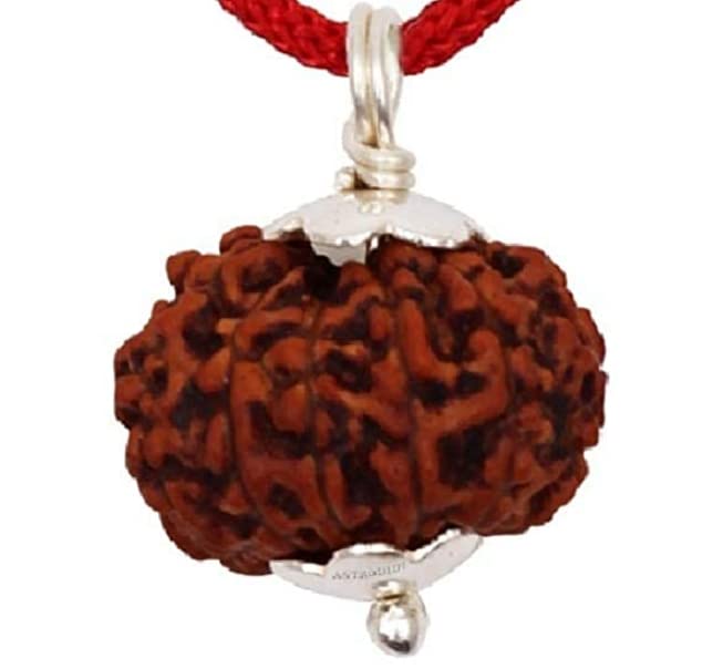 BluDiamond 8 Mukhi Rudraksha Pendent 19mm 8 Face Rudraksh Original Certified Eight Face Rudraksha Ashta Aath Mukhe Rudraksa Round 8 मुखी रुद्राक्ष ओरिजिनल नेपाल आठ मुखी रुद्राक्ष for Meditation-image-10