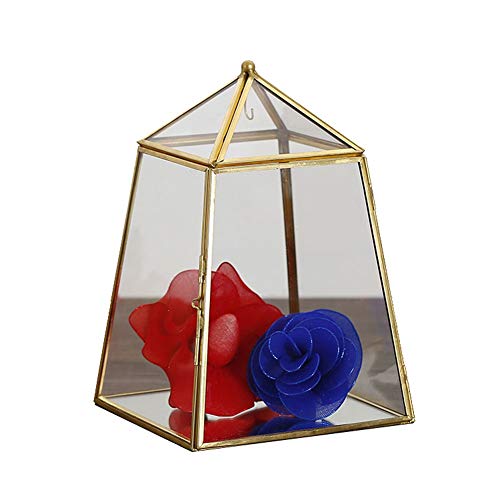 Joyeros Caja de joyería de Vidrio Creativo...