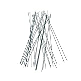 FASOLI