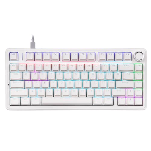 EPOMAKER AULA F75 L Q[~OL[{[h eL[X 75% Ԏ mut ߌ^ABSL[Lbv zbgXbvΉ N[~[JjJL[{[h obNCg Q[/ItBXp Windows macΉ zCg (