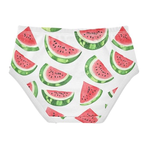 Wusikd Watercolor Red Girls' Underwear Cotton Red Watermelon Girls Briefs Soft Toddler Underwear 2T2