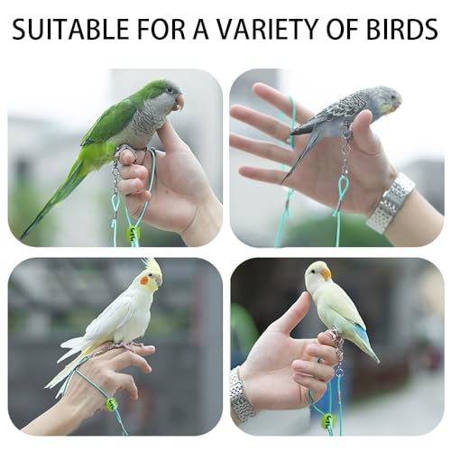 Image of Bird Harness, Bird Belt, Adjustable Parrot Leg Ring with 2m Elastic Rope, Harness for Birds Suit with Leash for Parrot, Budgerigars, Cockatiels
