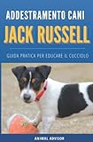 jack russell terrier cuccioli da adottare  ADDESTRAMENTO CANI JACK RUSSELL TERRIER: Guida pratica per educare il cucciolo di Jack Russell